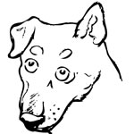 Nos chiens à adopter